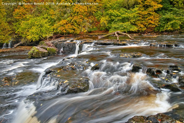 Autumn at Aysgarth Upper Falls,  Picture Board by Martyn Arnold