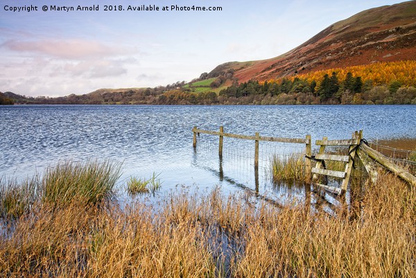 Loweswater in Autumn Picture Board by Martyn Arnold