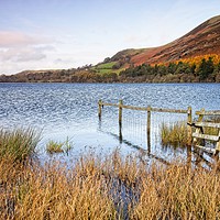 Buy canvas prints of Loweswater in Autumn by Martyn Arnold