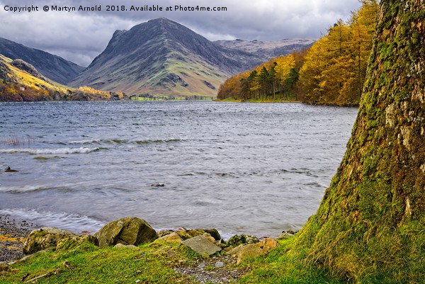 Autumn at Buttermere in the Lake District Picture Board by Martyn Arnold