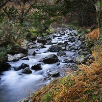 Buy canvas prints of Autumn Stream in Wasdale at Wast Water by Martyn Arnold