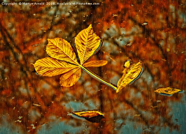 Floating Autumn Leaves Picture Board by Martyn Arnold