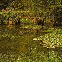 Buy canvas prints of The Secluded Lake by Martyn Arnold