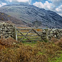 Buy canvas prints of Lake District Fells in Wasdale by Martyn Arnold