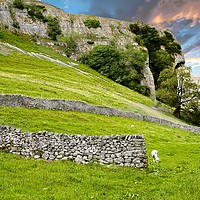 Buy canvas prints of Kilnsey Crag, Wharfdale by Martyn Arnold