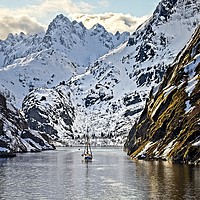 Buy canvas prints of Entering Trollfjord Norway by Martyn Arnold