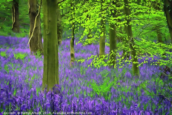 Bluebells Picture Board by Martyn Arnold