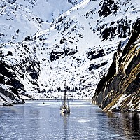 Buy canvas prints of Sailing into Trollfjord Norway by Martyn Arnold