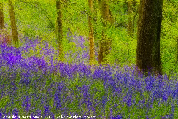 Bluebell Digital Photo Art Picture Board by Martyn Arnold