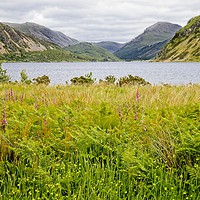 Buy canvas prints of Ennerdale Water by Martyn Arnold