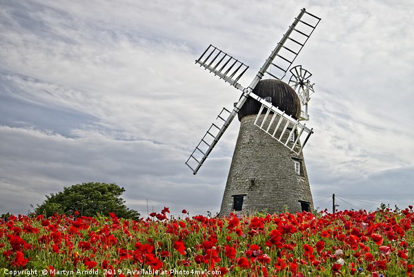 Whitburn WIndmill and Poppies Picture Board by Martyn Arnold