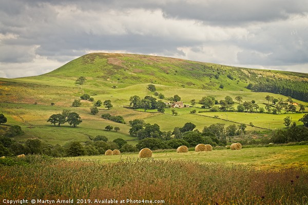 North York Moors Summer Landscape Picture Board by Martyn Arnold
