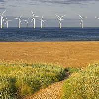 Buy canvas prints of Offshore Wind on Teesside  by Martyn Arnold