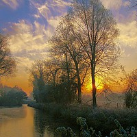 Buy canvas prints of Misty Winter Morning Sunrise by Martyn Arnold