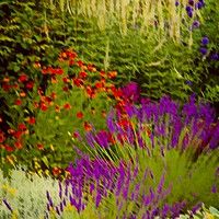 Buy canvas prints of Artistic Summer Flower Border by Martyn Arnold