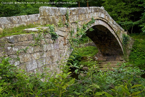 17c Beggar's Bridge Glaisdale, North York Moors Picture Board by Martyn Arnold