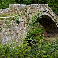 Buy canvas prints of 17c Beggar's Bridge Glaisdale, North York Moors by Martyn Arnold