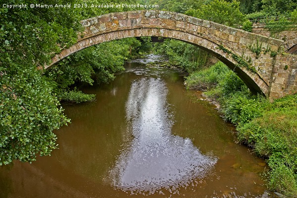 Beggars Bridge, North York Moors Picture Board by Martyn Arnold