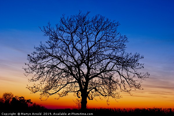 Sunset Tree Picture Board by Martyn Arnold