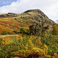 Buy canvas prints of Autumn in Wasdale, Lake District by Martyn Arnold