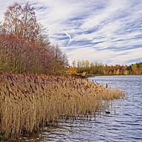 Buy canvas prints of Lakeside in Winter by Martyn Arnold