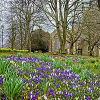 Buy canvas prints of Signs of Spring by Martyn Arnold