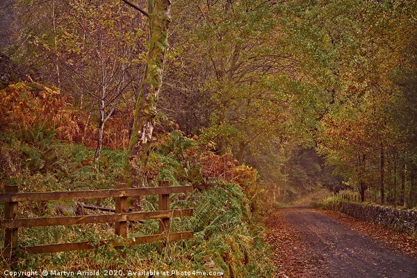 Autumn Country Lane Picture Board by Martyn Arnold