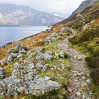 Buy canvas prints of Lakeside Fells around Ennerdale Water by Martyn Arnold