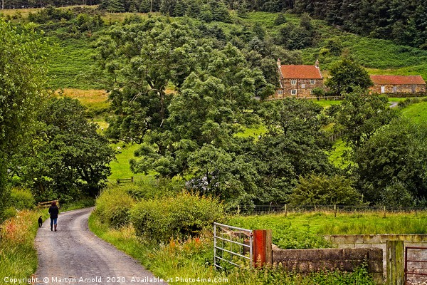 Yorkshire Country Lane Picture Board by Martyn Arnold