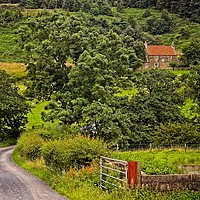 Buy canvas prints of Yorkshire Country Lane by Martyn Arnold