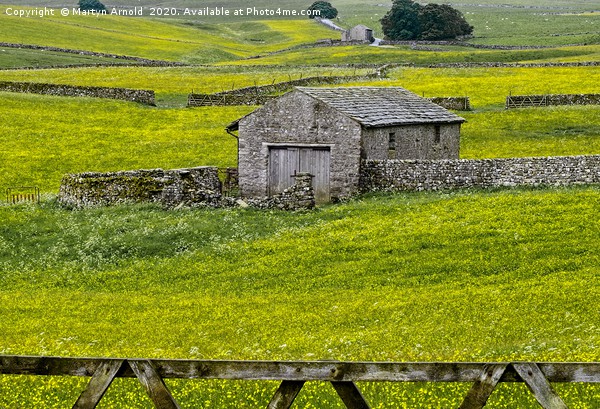 Yorkshire Dales Buttercup Fields Picture Board by Martyn Arnold