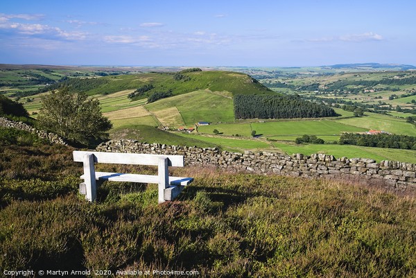 Rest a While on the Yorkshire Moors Picture Board by Martyn Arnold