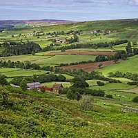 Buy canvas prints of Danby Dale North York Moors by Martyn Arnold