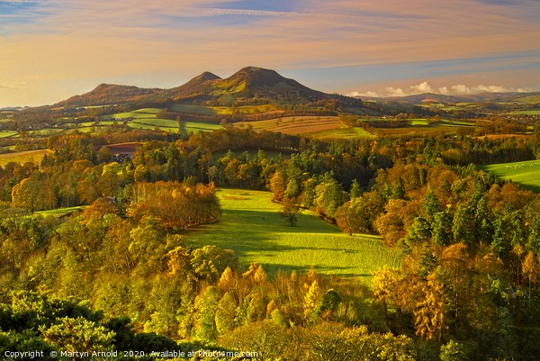 Eildon Hills from Scott's View, Scottish Borders Picture Board by Martyn Arnold