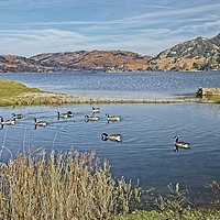 Buy canvas prints of Ullswater from Glenridding by Martyn Arnold