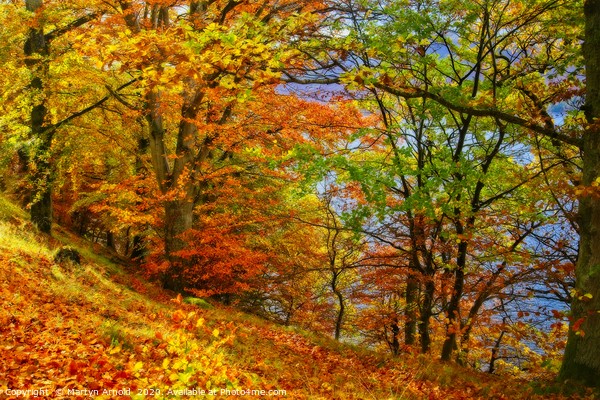 Autumn Trees on Ullswater Lake Picture Board by Martyn Arnold