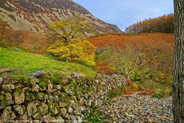Autumn Walk in the Lake District Picture Board by Martyn Arnold