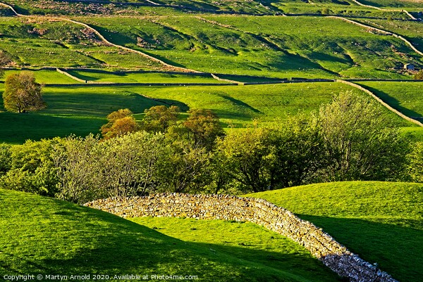Swaledale Stone Walls Picture Board by Martyn Arnold