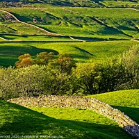 Buy canvas prints of Swaledale Stone Walls by Martyn Arnold