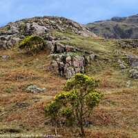 Buy canvas prints of Lakeland Colours by Martyn Arnold