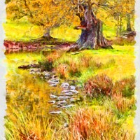 Buy canvas prints of Solitude at the Pond by Martyn Arnold