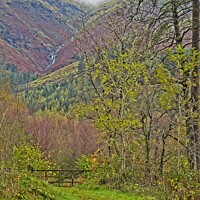 Buy canvas prints of Thirlmere View to Helvellyn Ridge by Martyn Arnold