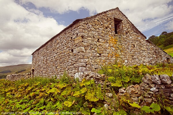Yorkshire Stone Barn, Yorkshire Dales Picture Board by Martyn Arnold