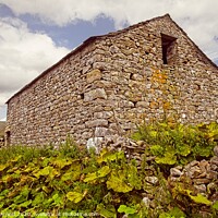 Buy canvas prints of Yorkshire Stone Barn, Yorkshire Dales by Martyn Arnold