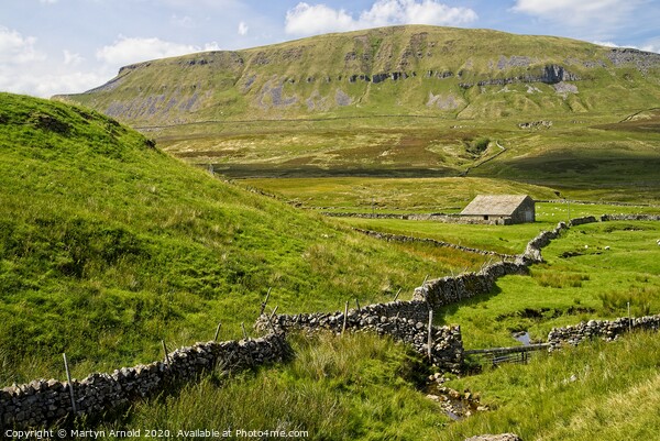 Pen-y-ghent, Yorkshire Dales Picture Board by Martyn Arnold
