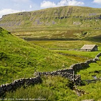Buy canvas prints of Pen-y-ghent, Yorkshire Dales by Martyn Arnold