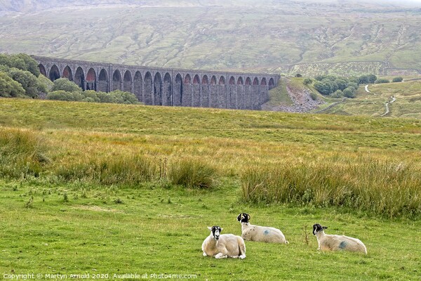Ribblehead Viaduct Landscape Picture Board by Martyn Arnold