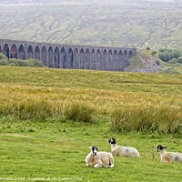 Buy canvas prints of Ribblehead Viaduct Landscape by Martyn Arnold
