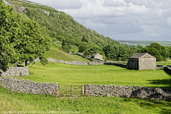Barns and Walls near Grassington Picture Board by Martyn Arnold