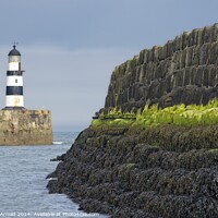 Buy canvas prints of Seaham Harbour Lighthouse, County Durham by Martyn Arnold